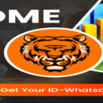 Best Tiger Exchange Id Provider in India